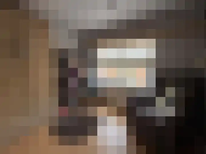 Schulpenpad 27 Sas van Gent thumbnail 18