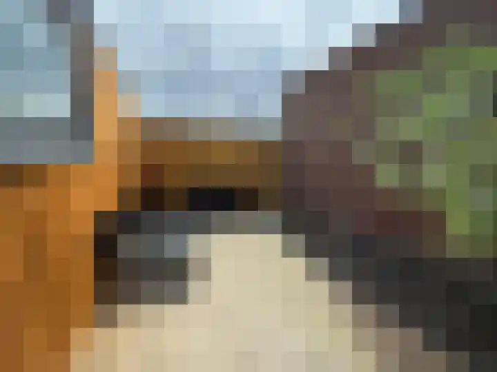 Schulpenpad 27 Sas van Gent thumbnail 20