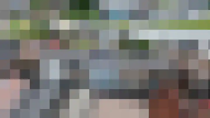 Schulpenpad 27 Sas van Gent thumbnail 24