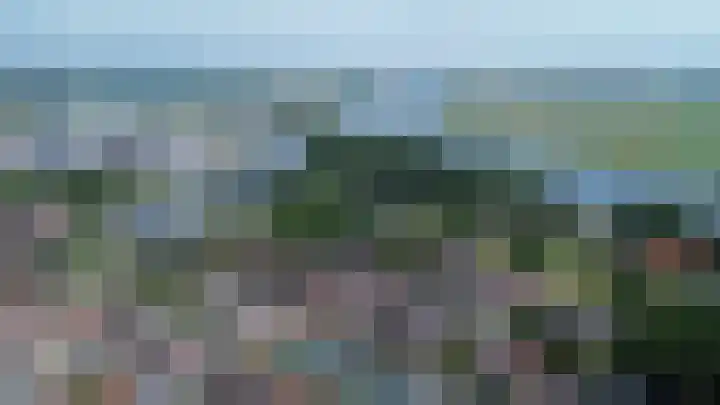 Schulpenpad 27 Sas van Gent thumbnail 26