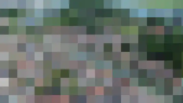 Schulpenpad 27 Sas van Gent thumbnail 27