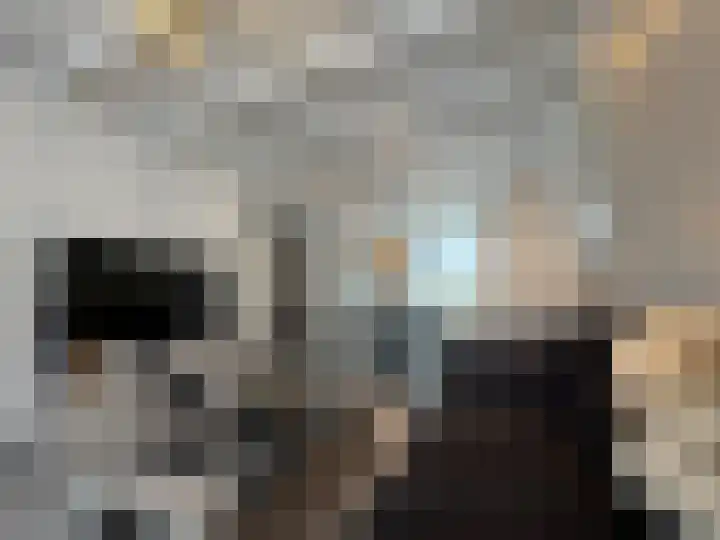 Schulpenpad 27 Sas van Gent thumbnail 4