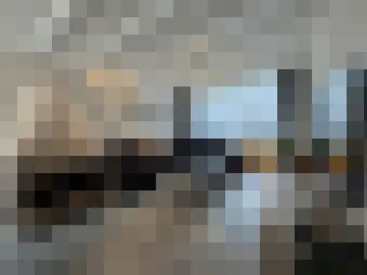 Schulpenpad 27 Sas van Gent thumbnail 5