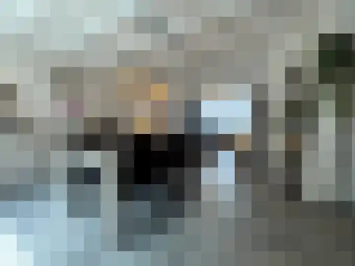 Schulpenpad 27 Sas van Gent thumbnail 6