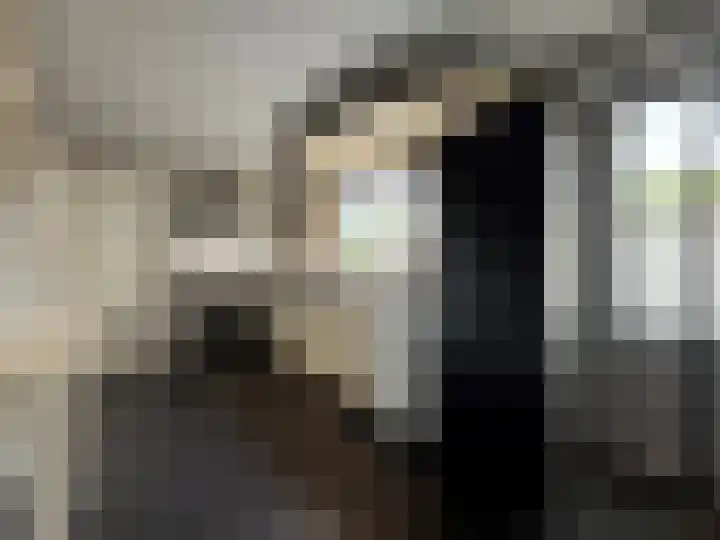 Schulpenpad 27 Sas van Gent thumbnail 7