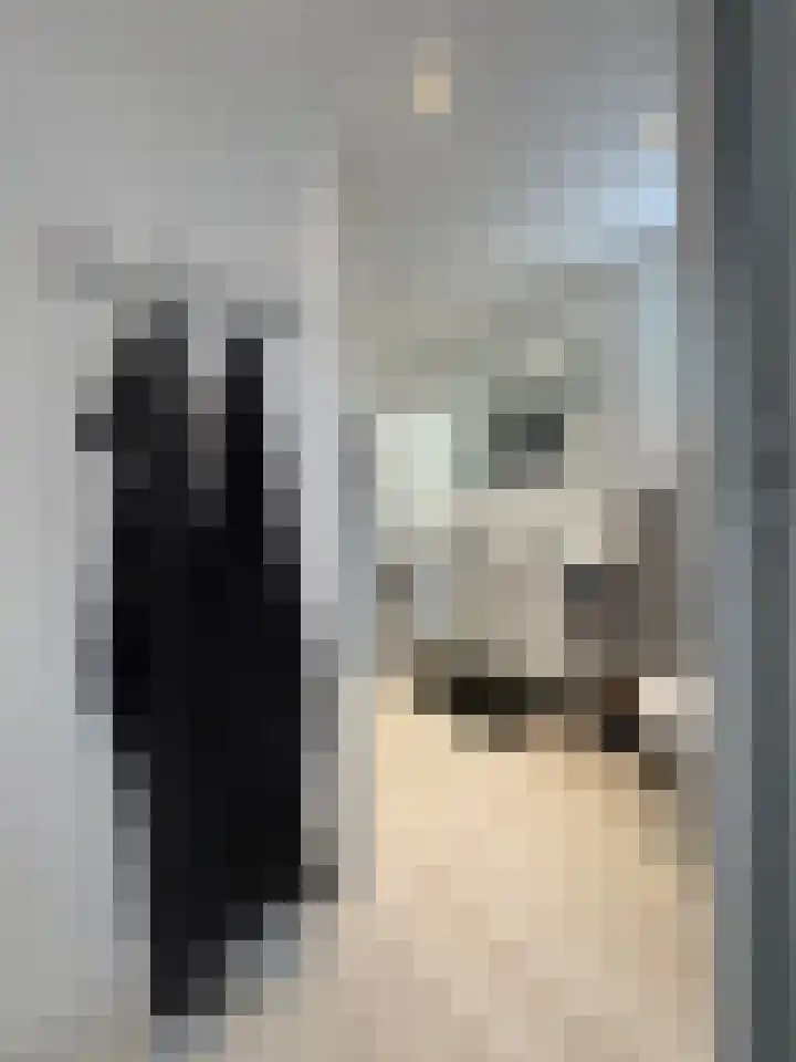 Schulpenpad 27 Sas van Gent thumbnail 8