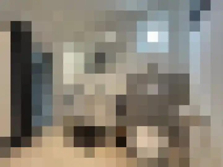 Schulpenpad 27 Sas van Gent thumbnail 9