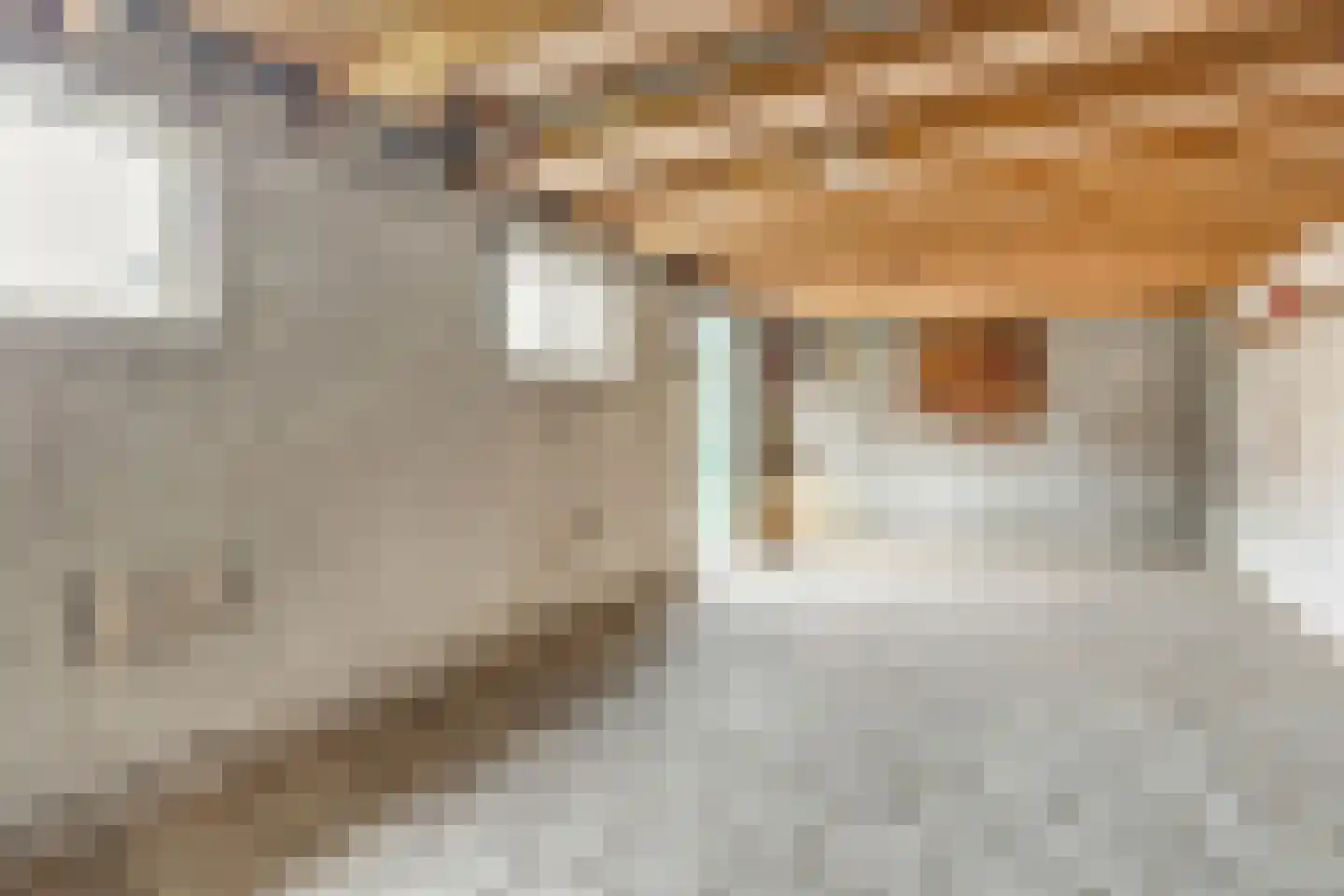 Schulpkamp 24 Nijkerk thumbnail 32