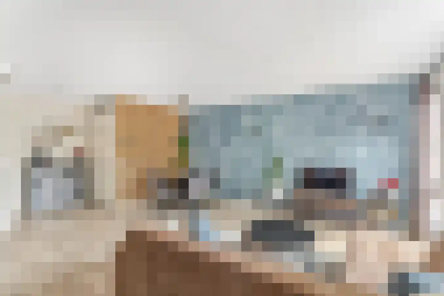 Schulpkamp 43 Nijkerk thumbnail 10