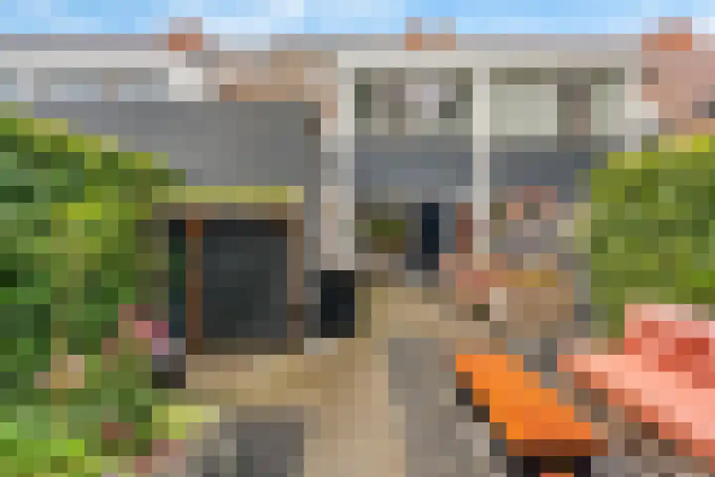 Schulpkamp 43 Nijkerk thumbnail 27