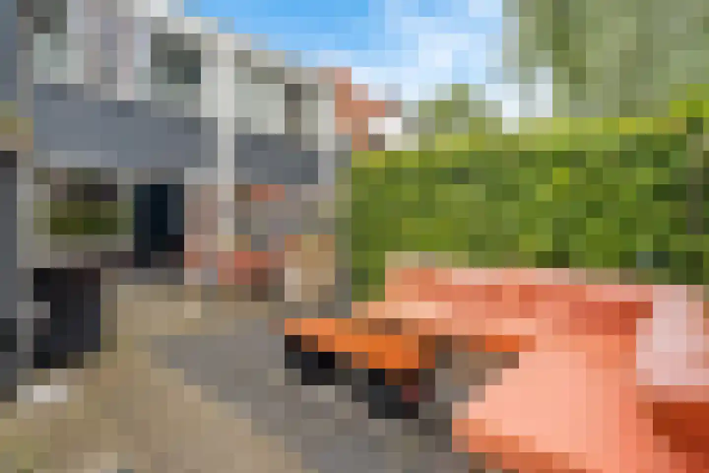Schulpkamp 43 Nijkerk thumbnail 28