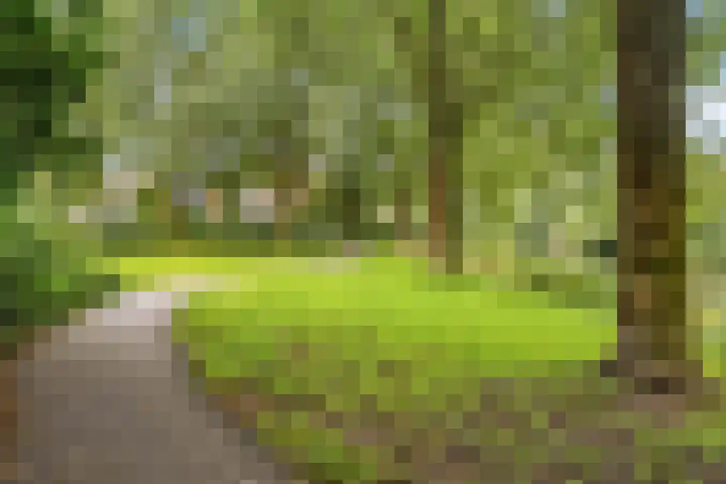 Schulpkamp 43 Nijkerk thumbnail 30