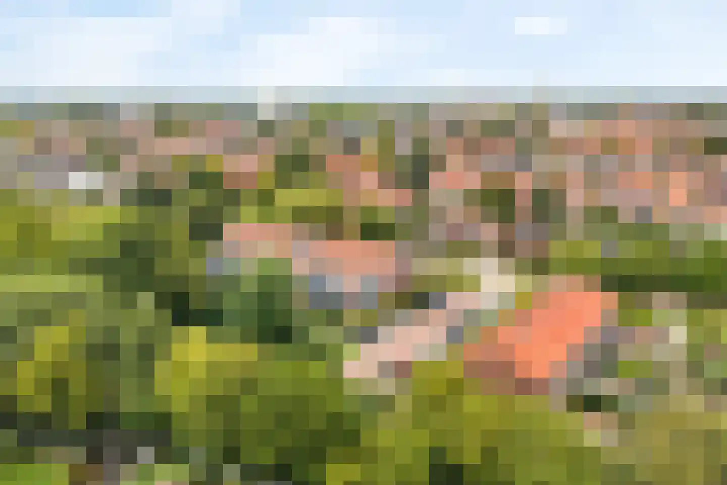 Schulpkamp 43 Nijkerk thumbnail 8