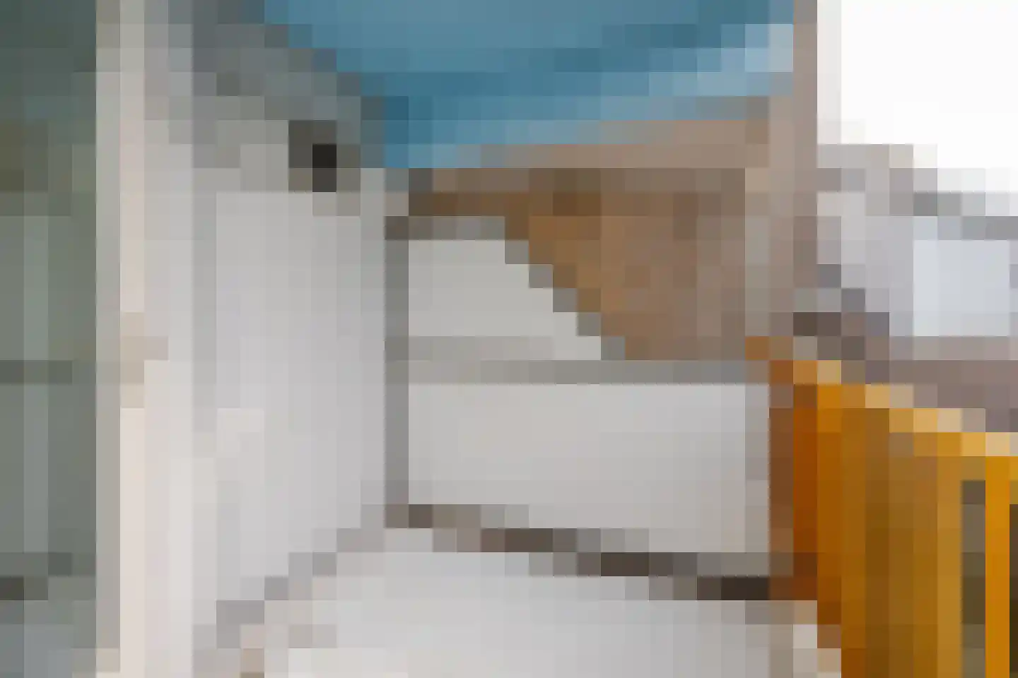 Schulpplein 4 B Rotterdam thumbnail 19