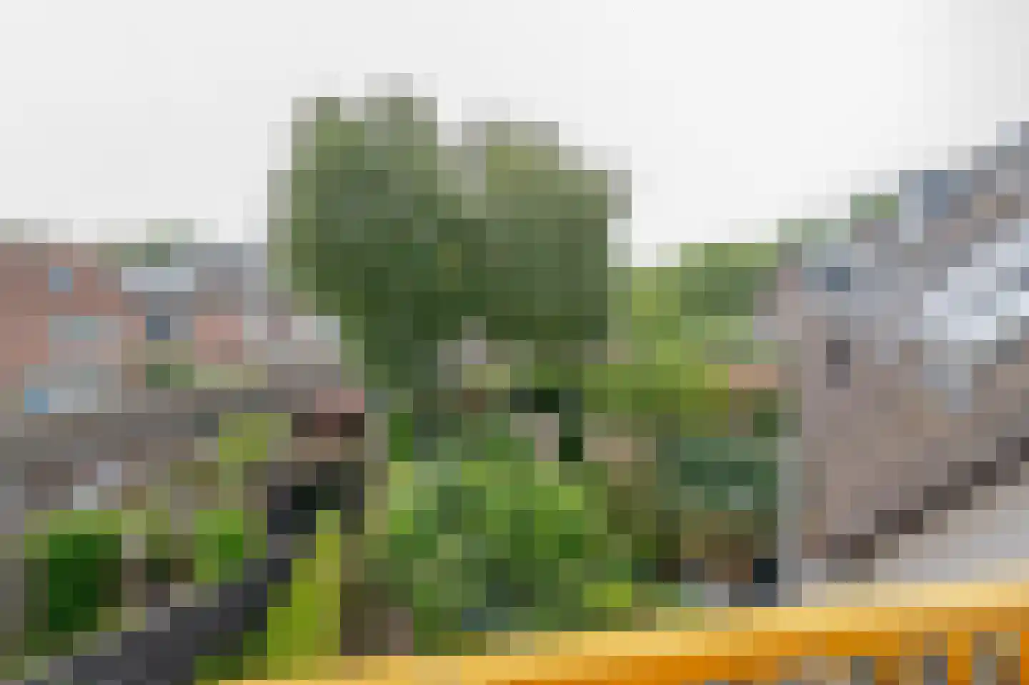 Schulpplein 4 B Rotterdam thumbnail 20