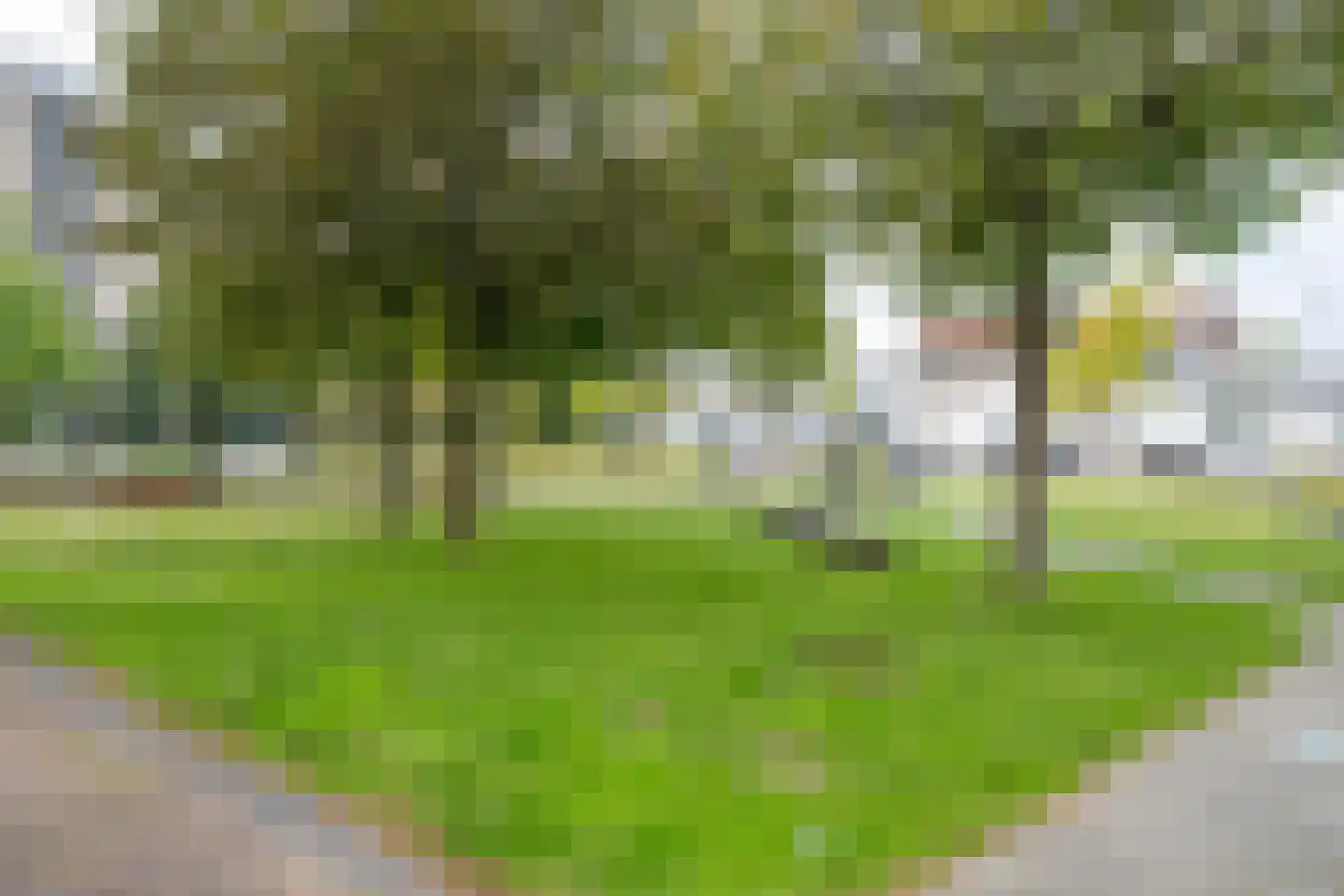 Schulpplein 4 B Rotterdam thumbnail 22