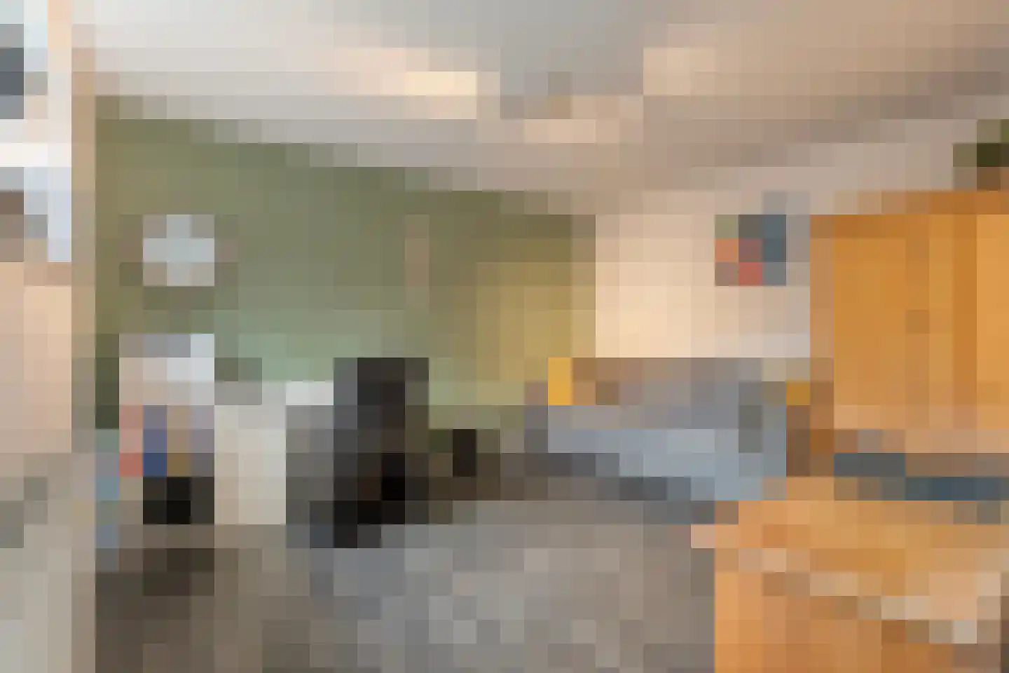 Schulpvijver 19 Almelo thumbnail 12