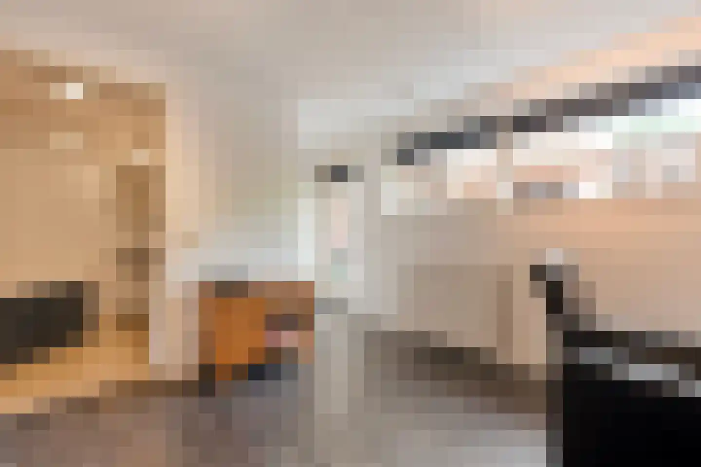 Schulpvijver 19 Almelo thumbnail 13