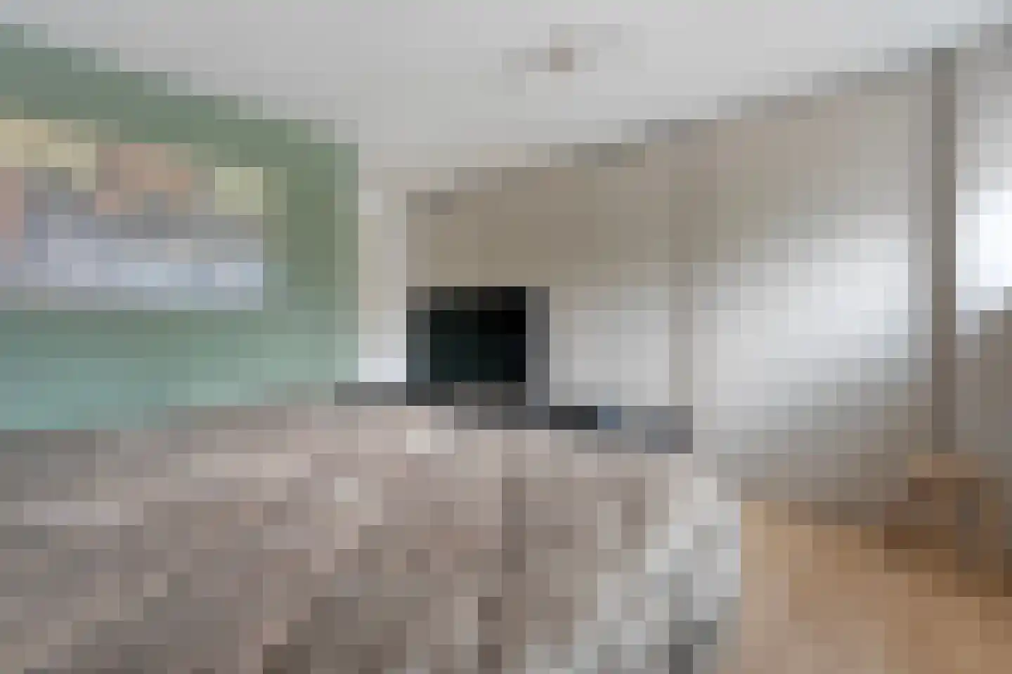 Schulpvijver 19 Almelo thumbnail 22