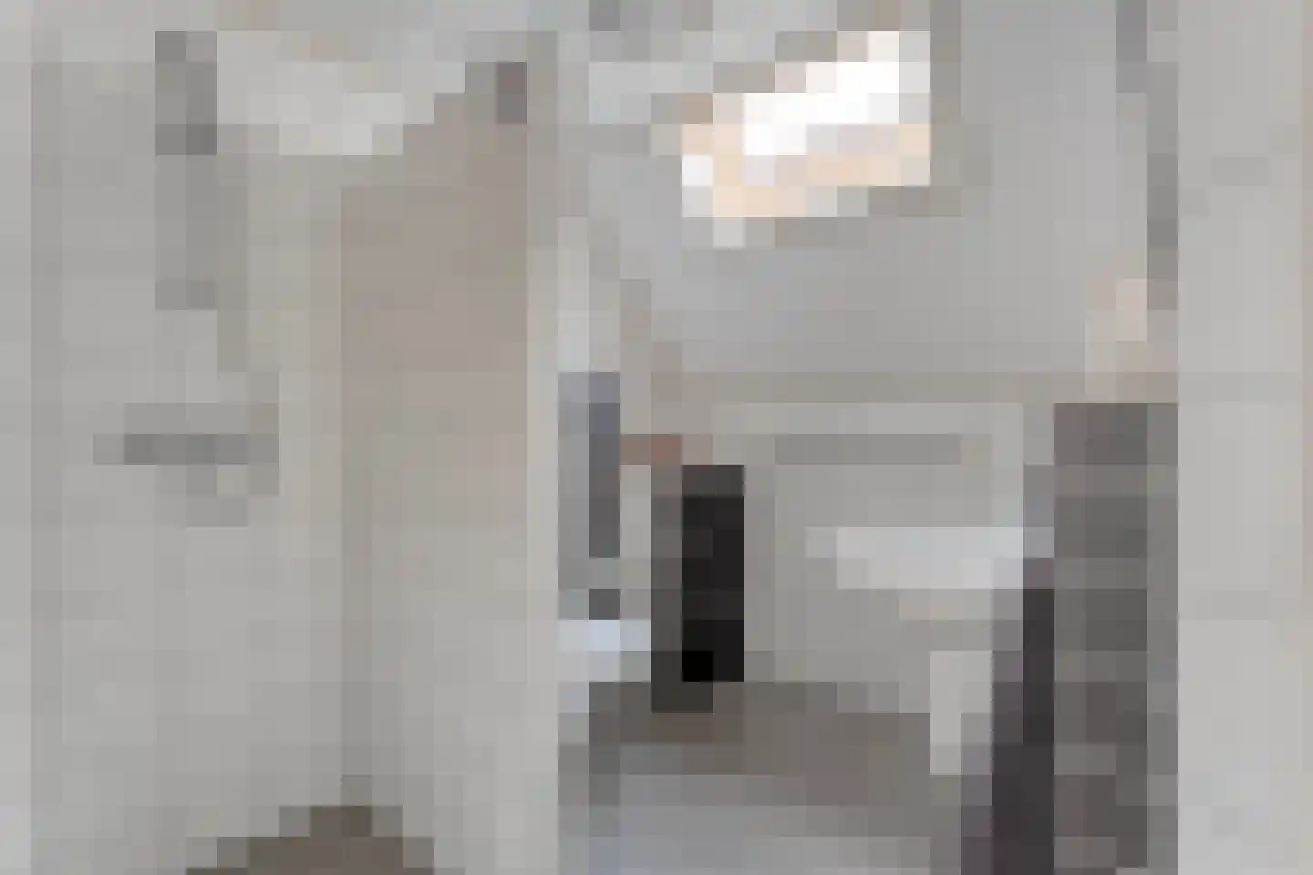 Schulpvijver 19 Almelo thumbnail 23