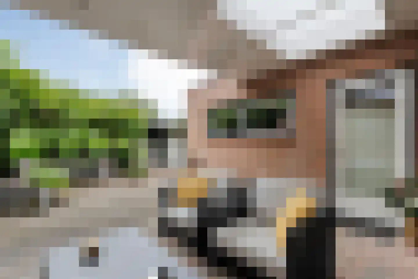 Schulpvijver 19 Almelo thumbnail 26