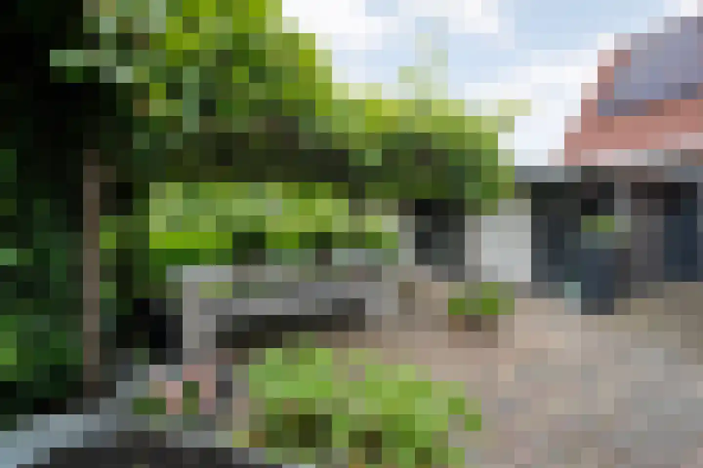 Schulpvijver 19 Almelo thumbnail 27