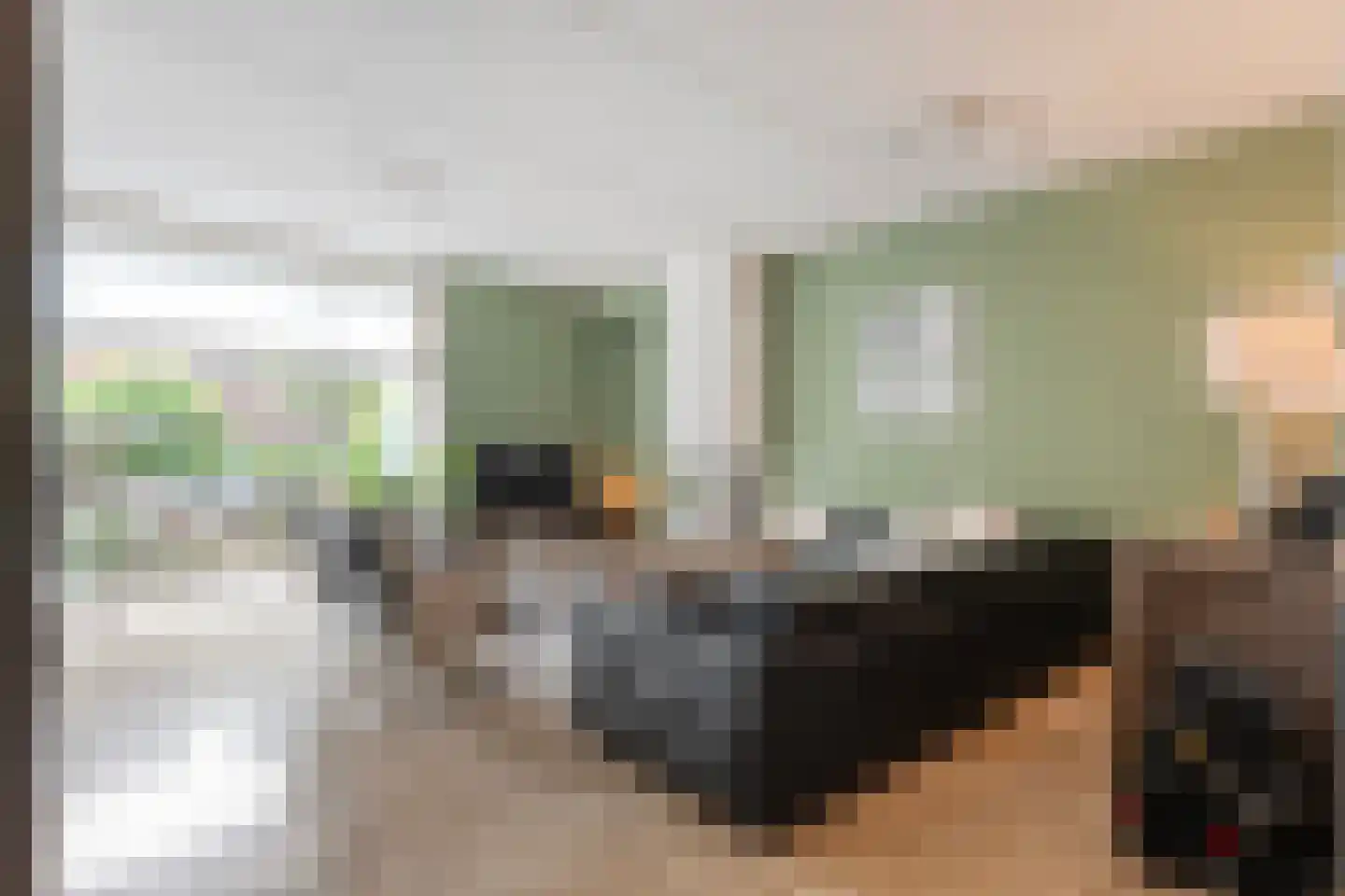 Schulpvijver 19 Almelo thumbnail 5