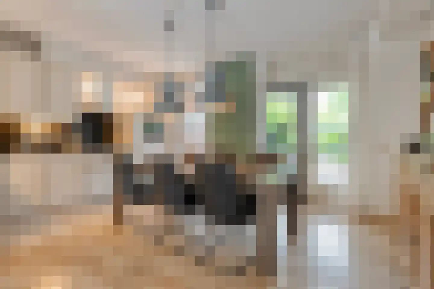Schulpvijver 19 Almelo thumbnail 8