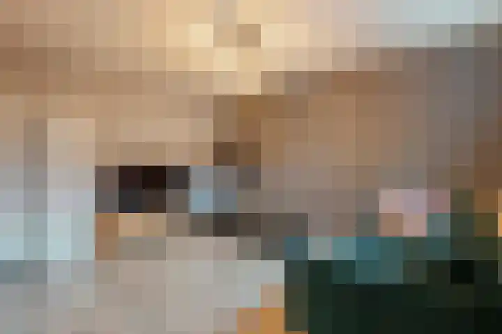Schulpvijver 21 Almelo thumbnail 14