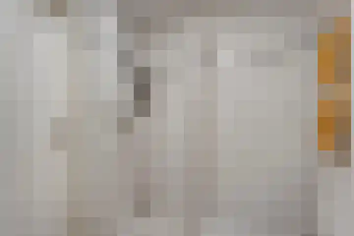 Schulpvijver 21 Almelo thumbnail 16
