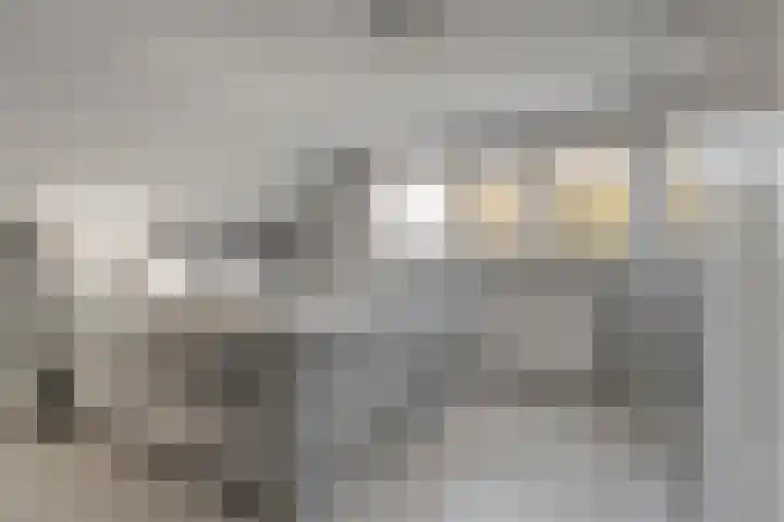 Schulpvijver 21 Almelo thumbnail 17