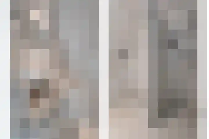 Schulpvijver 21 Almelo thumbnail 21