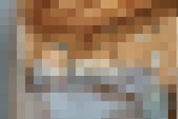 Schulpvijver 21 Almelo thumbnail 24