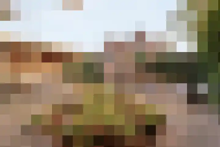 Schulpvijver 21 Almelo thumbnail 25