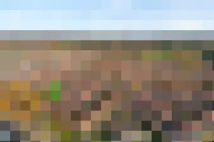 Schulpvijver 21 Almelo thumbnail 27