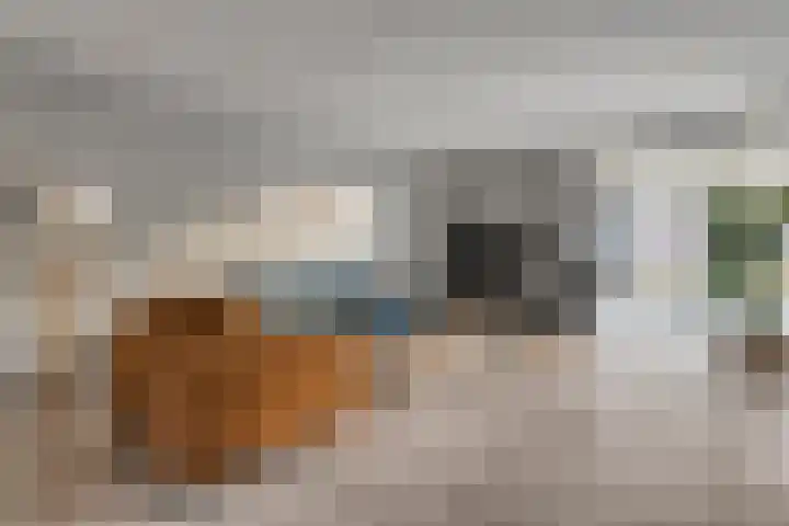 Schulpvijver 21 Almelo thumbnail 7