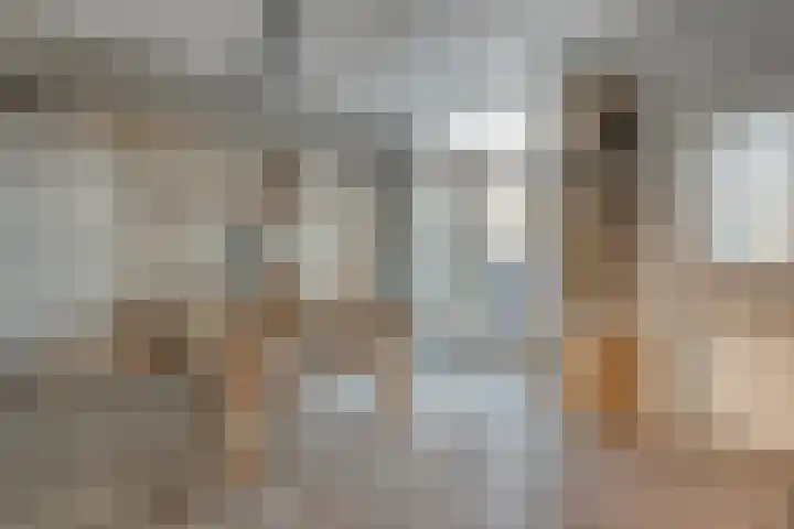 Schulpvijver 21 Almelo thumbnail 9