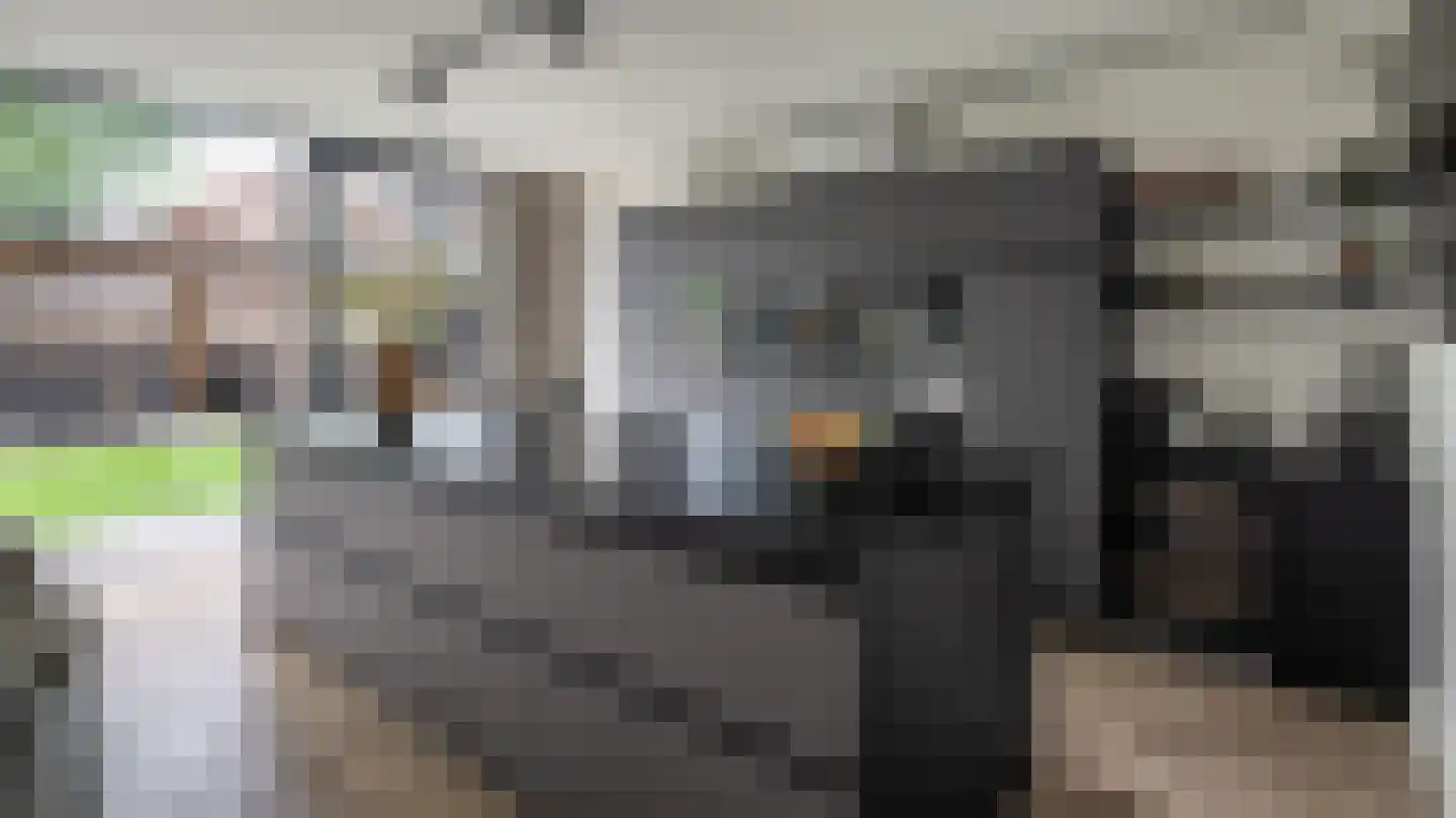 Schulpvijver 22 Almelo thumbnail 10