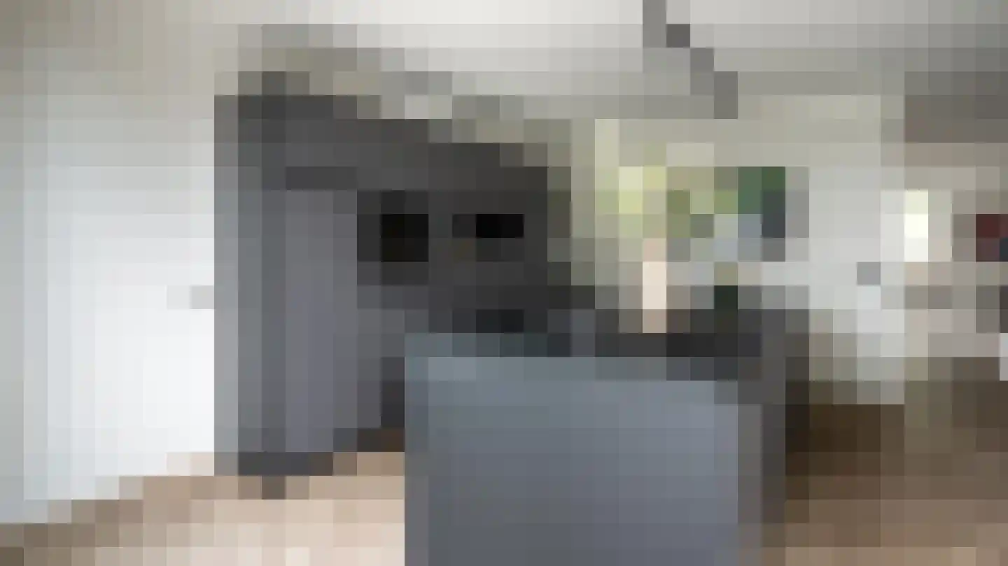 Schulpvijver 22 Almelo thumbnail 12