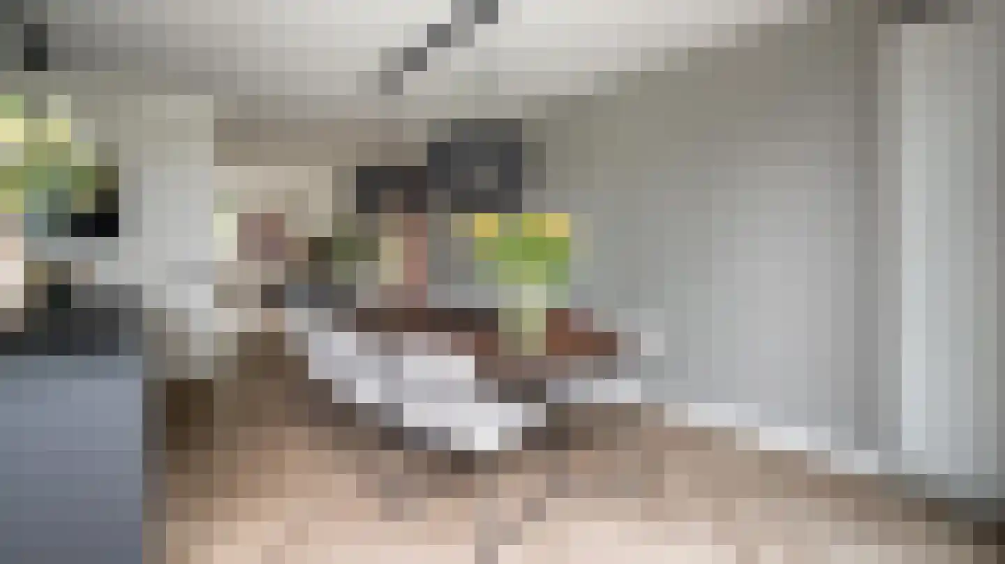Schulpvijver 22 Almelo thumbnail 13