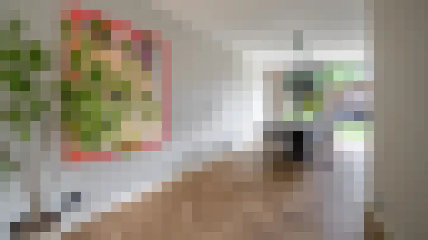 Schulpvijver 22 Almelo thumbnail 8