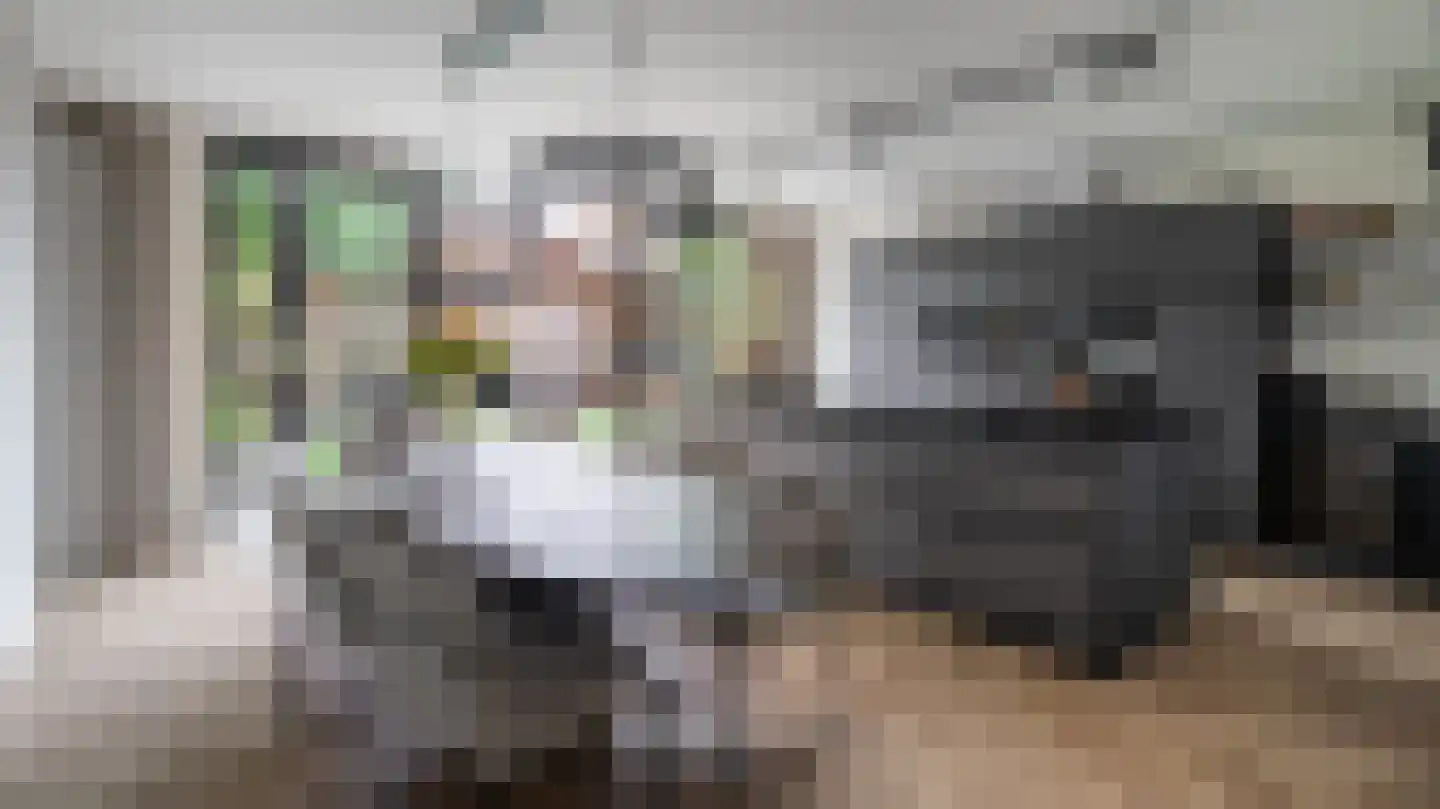 Schulpvijver 22 Almelo thumbnail 9