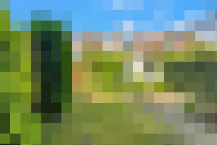 Schulpweg 13 Velsen-Noord thumbnail 27
