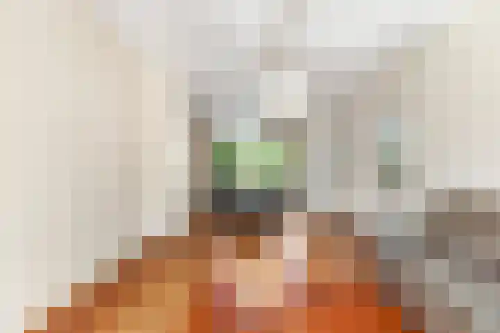 Schulpweg 13 Velsen-Noord thumbnail 4