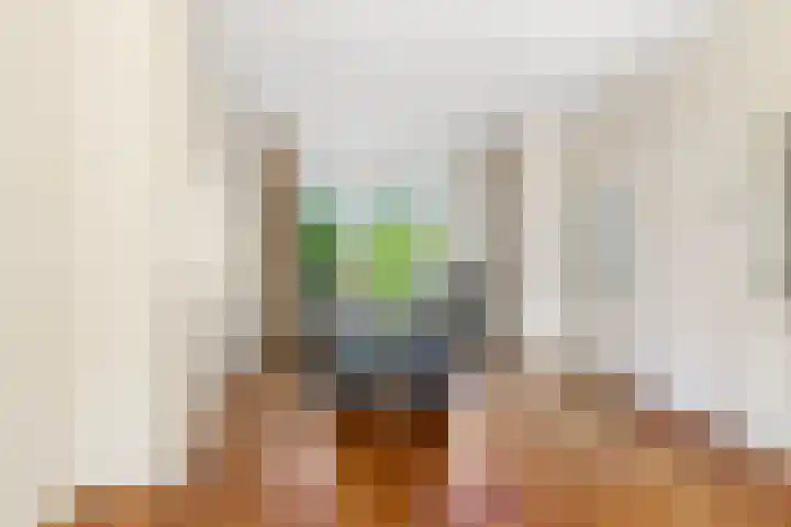 Schulpweg 13 Velsen-Noord thumbnail 5