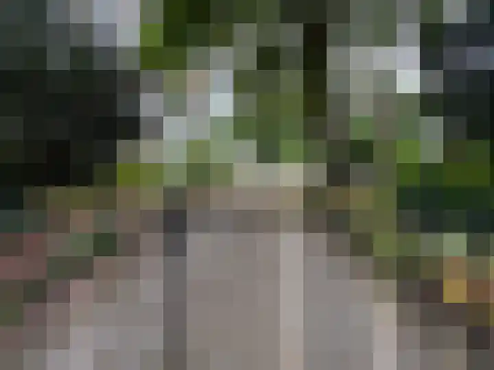 Schulpweg 14 Aerdenhout thumbnail 4
