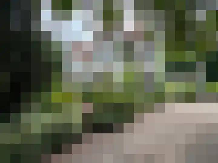 Schulpweg 14 Aerdenhout thumbnail 5