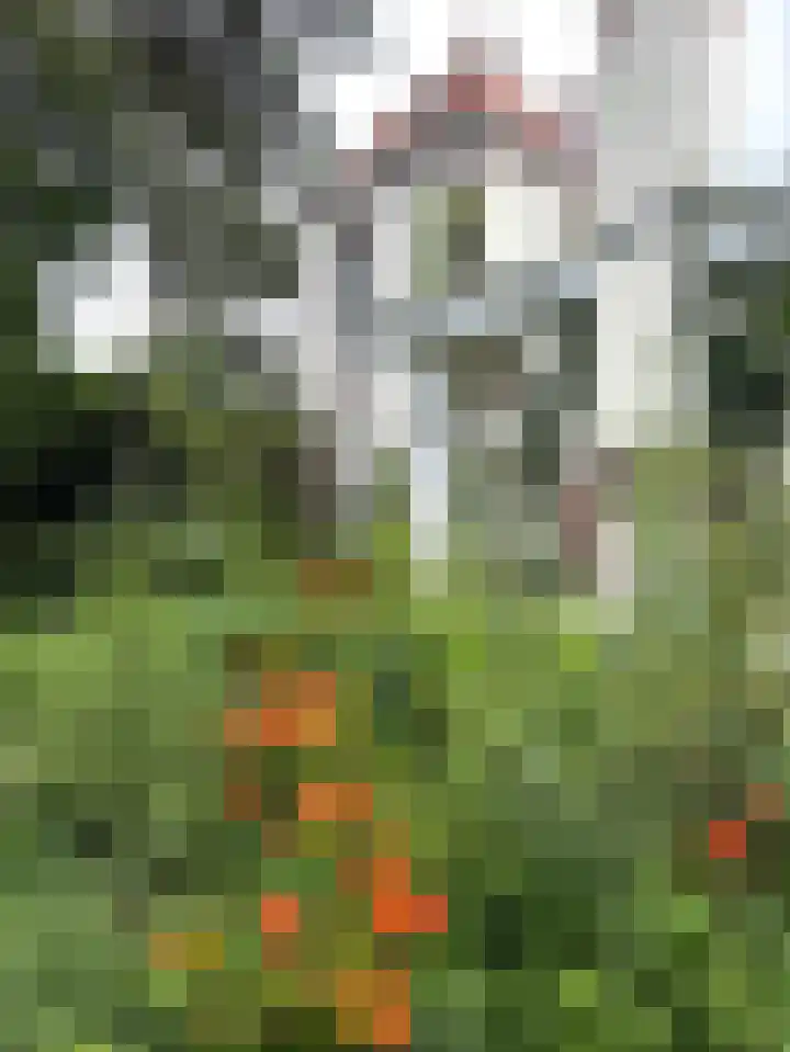 Schulpweg 14 Aerdenhout thumbnail 52