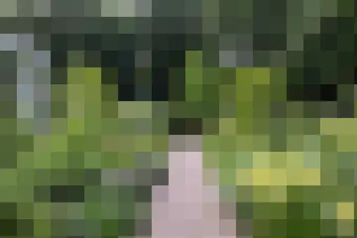 Schulpweg 14 Aerdenhout thumbnail 53
