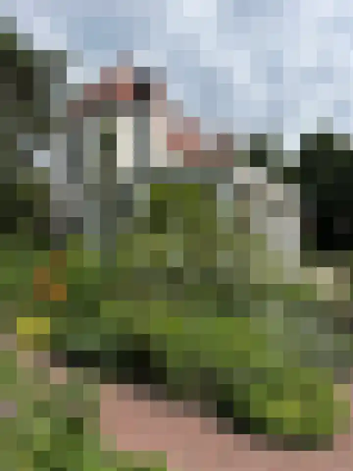 Schulpweg 14 Aerdenhout thumbnail 63